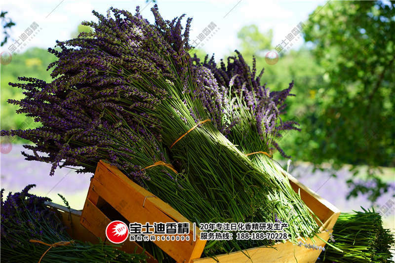 薰衣草（cǎo）香精