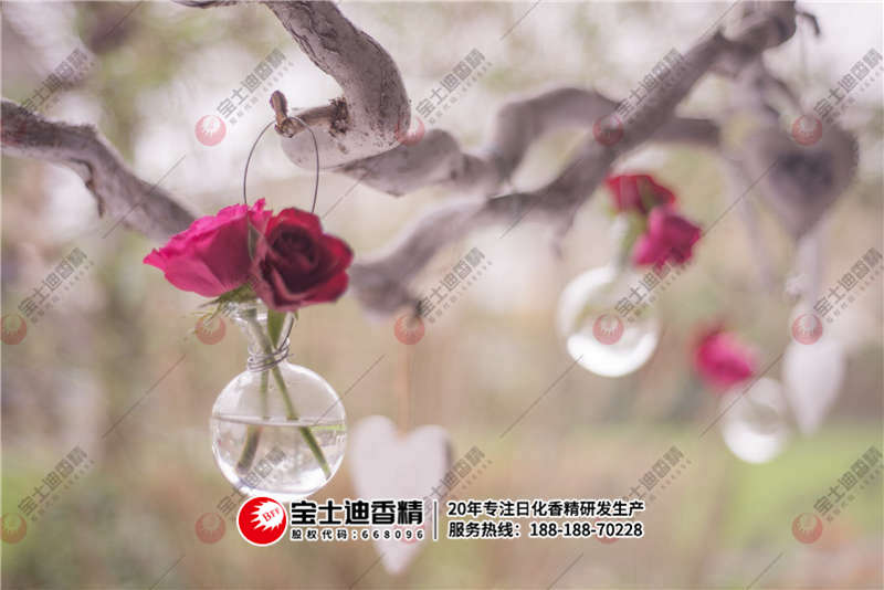 法（fǎ）國玫瑰香（xiāng）精精油掛在樹上