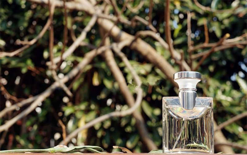 寶格麗綠（lǜ）茶古龍水