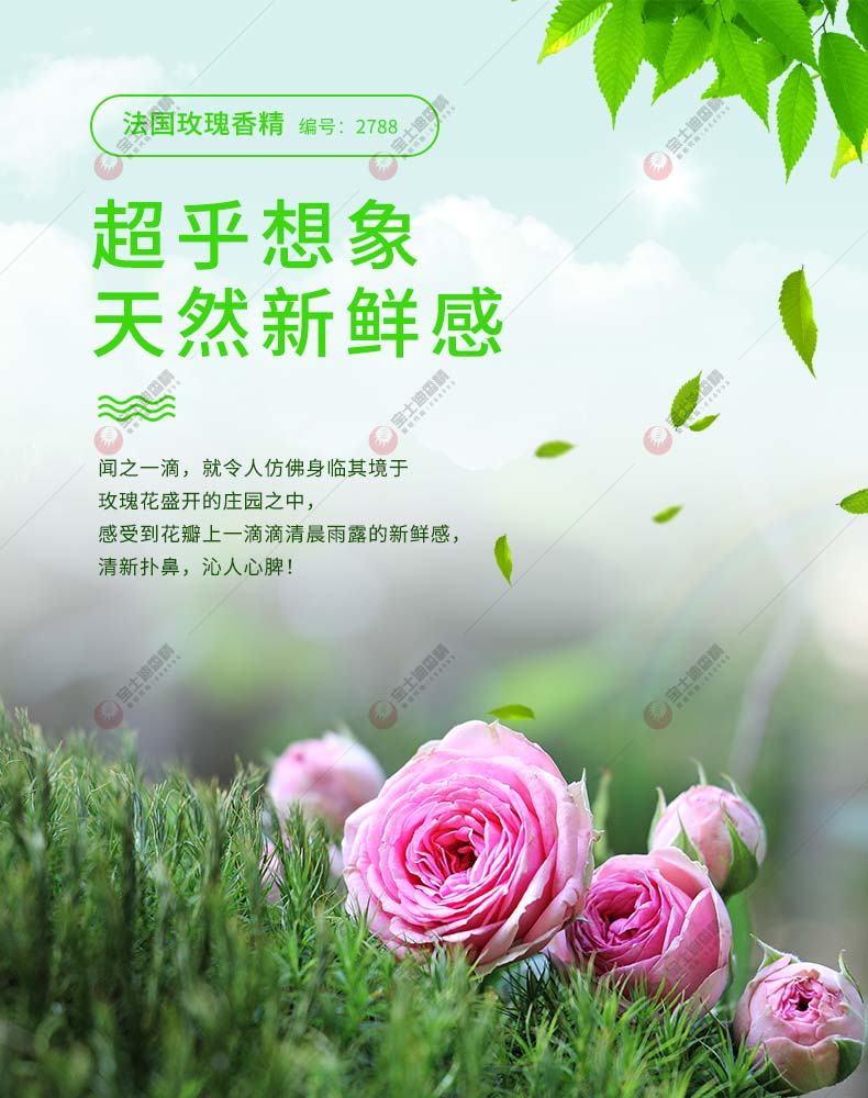 法國玫瑰香精精華液