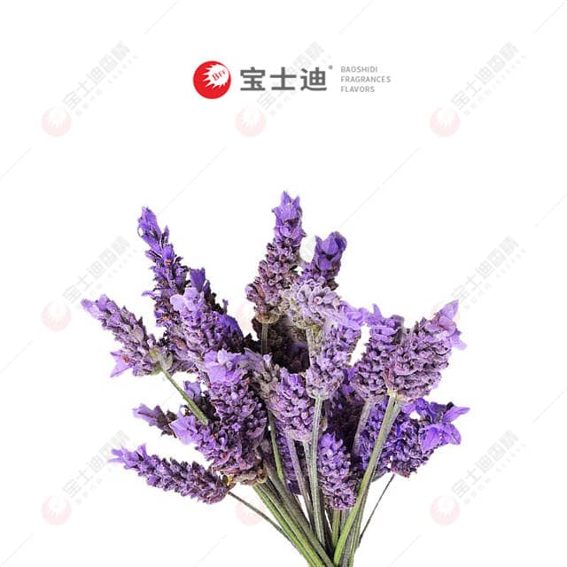 法（fǎ）國薰衣草香精
